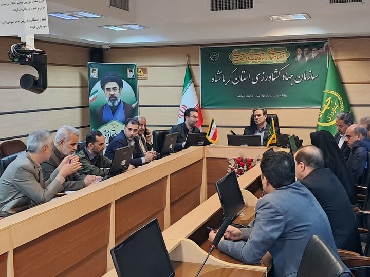 بازار مرغ کرمانشاه زیر ذره‌بین نظارتی قرار گرفت