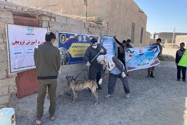 واکسیناسیون بیش از ۲هزار قلاده سگ علیه بیماری هاری در سیستان وبلوچستان