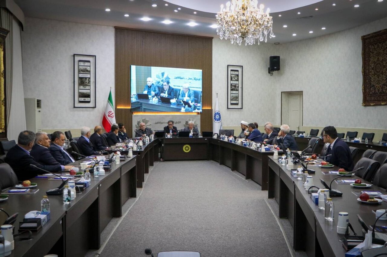 نمایندگان مجلس پیگیر حل مشکلات فعالان اقتصادی آذربایجان‌شرقی می‌شوند