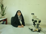 «خانه باغ ها» حلقه پنهان گسترش مگس مدیترانه ای در گلستان