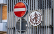 WHO reports 906 suspected Ebola cases