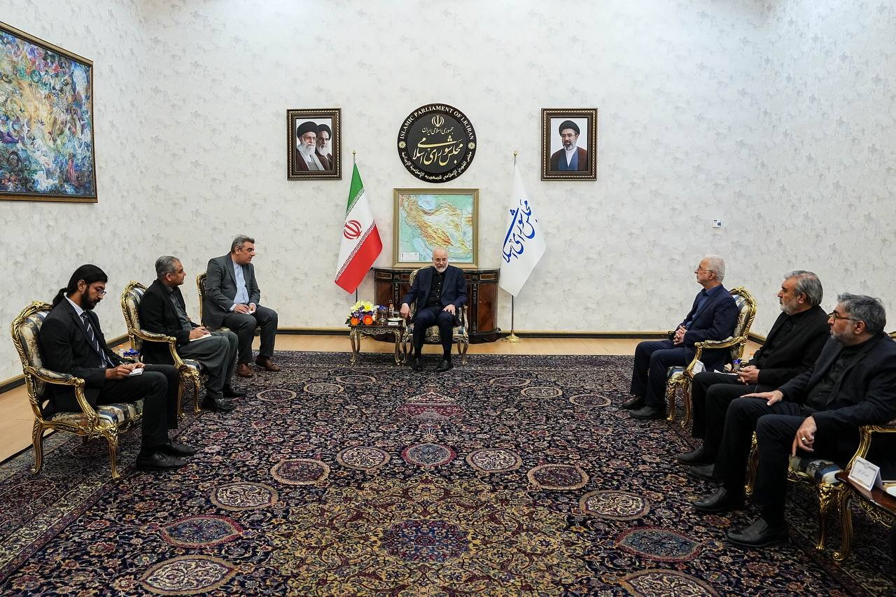 وزير الداخلية الباكستاني يلتقي رئيس البرلمان الايراني