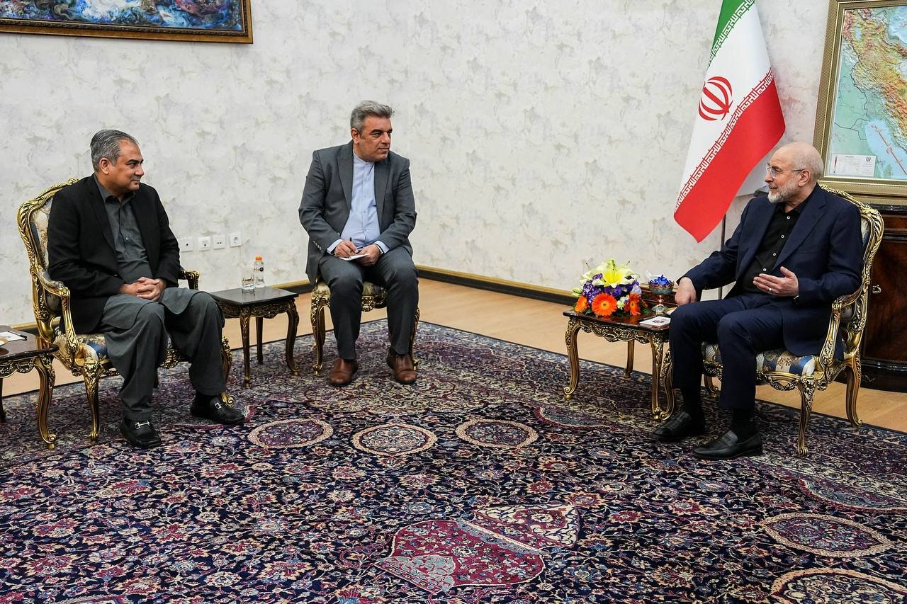وزير الداخلية الباكستاني يلتقي رئيس البرلمان الايراني