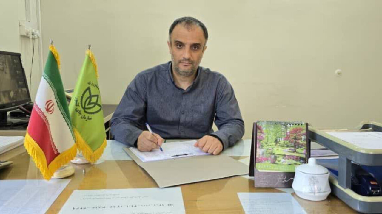 بهشتی: ۷۸۰۰ تُن چای از باغات شهرستان رودسر برداشت شده است بهشتی: ۷۸۰۰ تُن چای از باغات شهرستان رودسر برداشت شده است