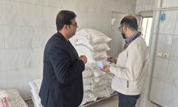تأمین آرد ساری پایدار است؛ بهبود کیفیت آرد نانوایی‌ها