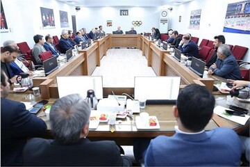 علی نژاد: فدراسیون‌ها برای کسب سهمیه در آمریکا ۶ ماه زودتر اقدام کنند