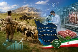 ورود شرکت‌های دانش بنیان به تولیدات عشایری کشور؛ گوشت هدفگذاری شد