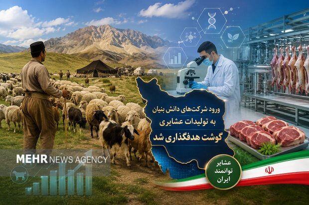 ورود شرکت‌های دانش بنیان به تولیدات عشایری کشور؛ گوشت هدفگذاری شد