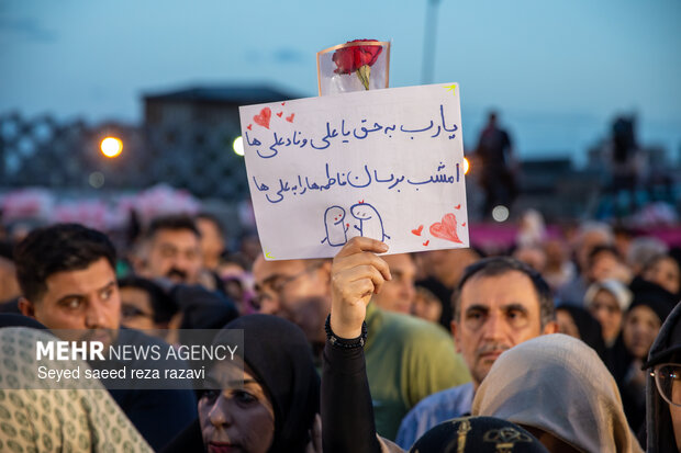 Marriage celebration ceremony for couples ‘devoted for Iran'
