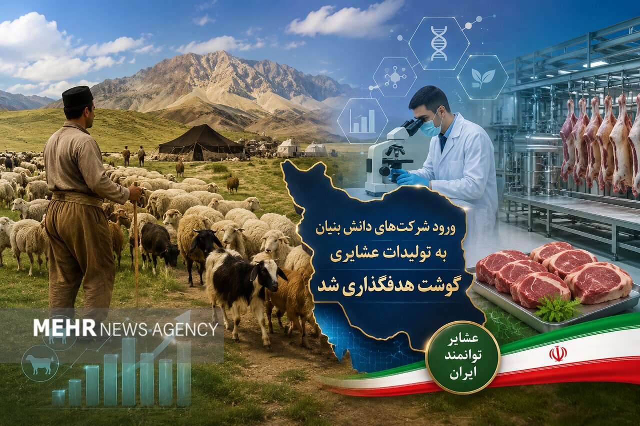 ورود شرکتهای دانش بنیان به تولیدات عشایری کشور؛ گوشت هدفگذاری شد ورود شرکتهای دانش بنیان به تولیدات عشایری کشور؛ گوشت هدفگذاری شد