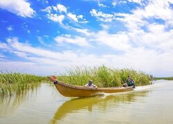 باران «هور» را نجات داد؟