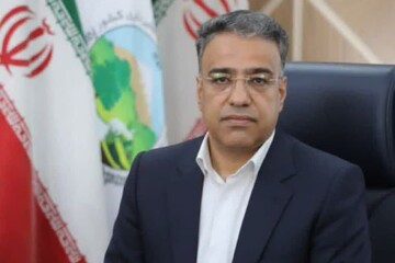 محمدی: مدیریت طرح‌های مرتعداری آشتیان  به دامداران سپرده شد