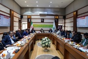 گردش مالی صنعت اسباب بازی در ایران تا ۳۵۰ میلیون دلار است