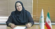 ۱۰۰ هزارزنبوردارایرانی بدون جایگاهی مستقل/سقوط رتبه جهانی ایران درعسل
