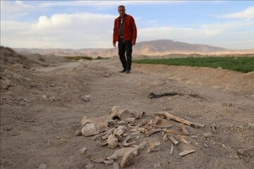 کشف یک گور جمعی در دمشق