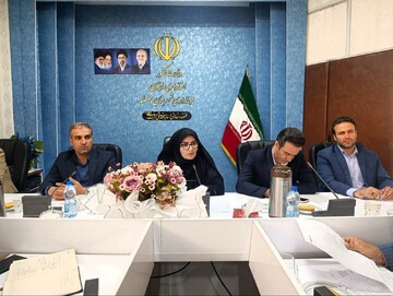 لزوم حرکت از وام‌های خرد به سمت مهندسی مالی متمرکز بر پروژه‌های کلان