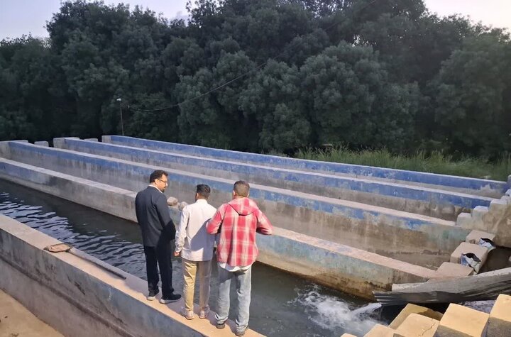 خسارات مزرعه پرورش ماهی تنگ‌کنشت برای جبران بررسی شد