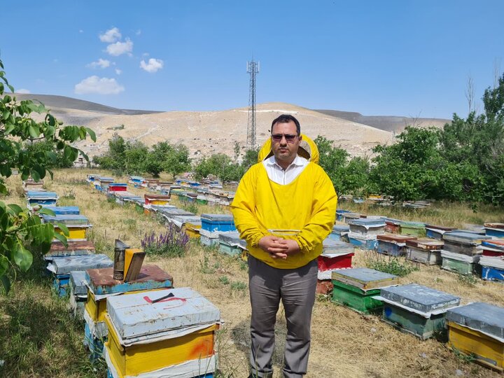 آذربایجان شرقی دومین تولیدکننده عسل کشور شد  