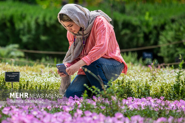 جشنواره بهاره باغ گیاه‌شناسی ملی ایران