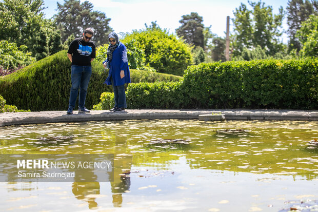 جشنواره بهاره باغ گیاه‌شناسی ملی ایران