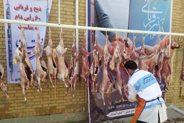 روز،سازمان،دامپزشكان