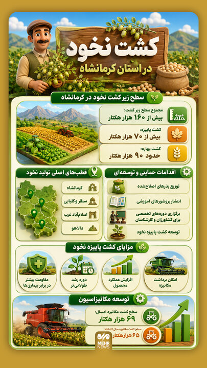 اینفوگرافیک؛ کشت نخود در استان کرمانشاه