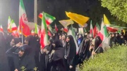میدان‌داری شهرکردی‌ها در موج هشتاد و چهارم