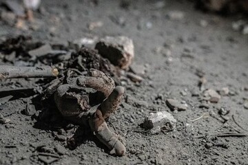 جزئیات شناسایی اجساد در جنگ؛ از اثر انگشت تا DNA دندان و استخوان