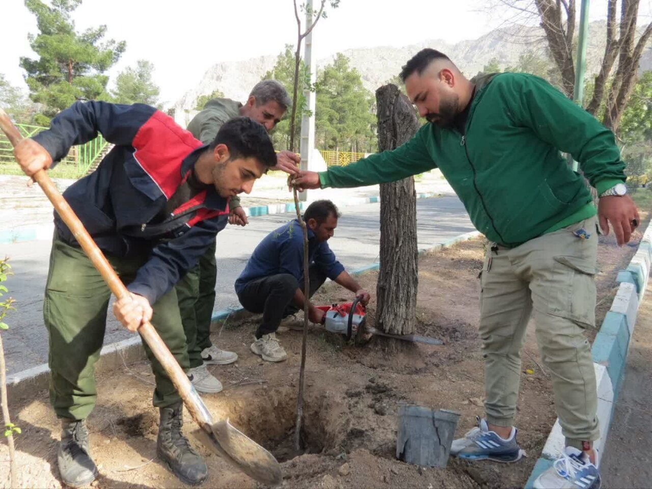 شهري،سبز،فضاي،درختان،خشك،منظر،كرمانشاه