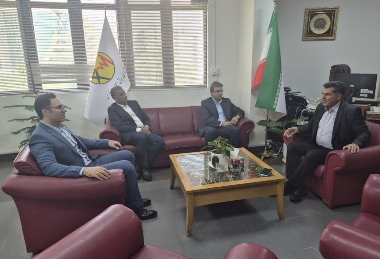 برق،تنگستان،شهرستان،مشكلات،مديرعامل،رفع