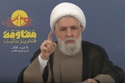 Hezbollah will keep its weapons: Qassem
