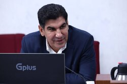 رئیس فدراسیون بوکس: دنیامالی دخالت نکرده است