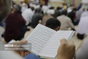 عرفه در بوشهر؛ هم‌افزایی مناسک دینی و ظرفیت‌های اجتماعی در ۱۷۰ نقطه