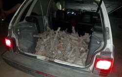 کشف قاچاق چوب در سمنان و سرخه؛ ۲ متخلف دستگیر شدند