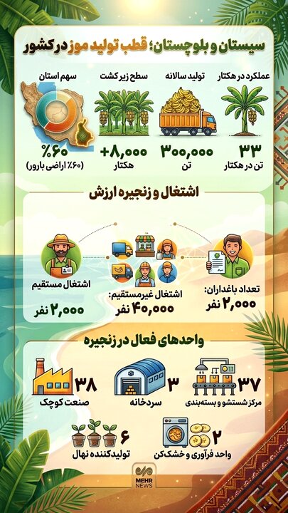 اینفوگرافیک؛ سیستان و بلوچستان قطب تولید «موز» در کشور