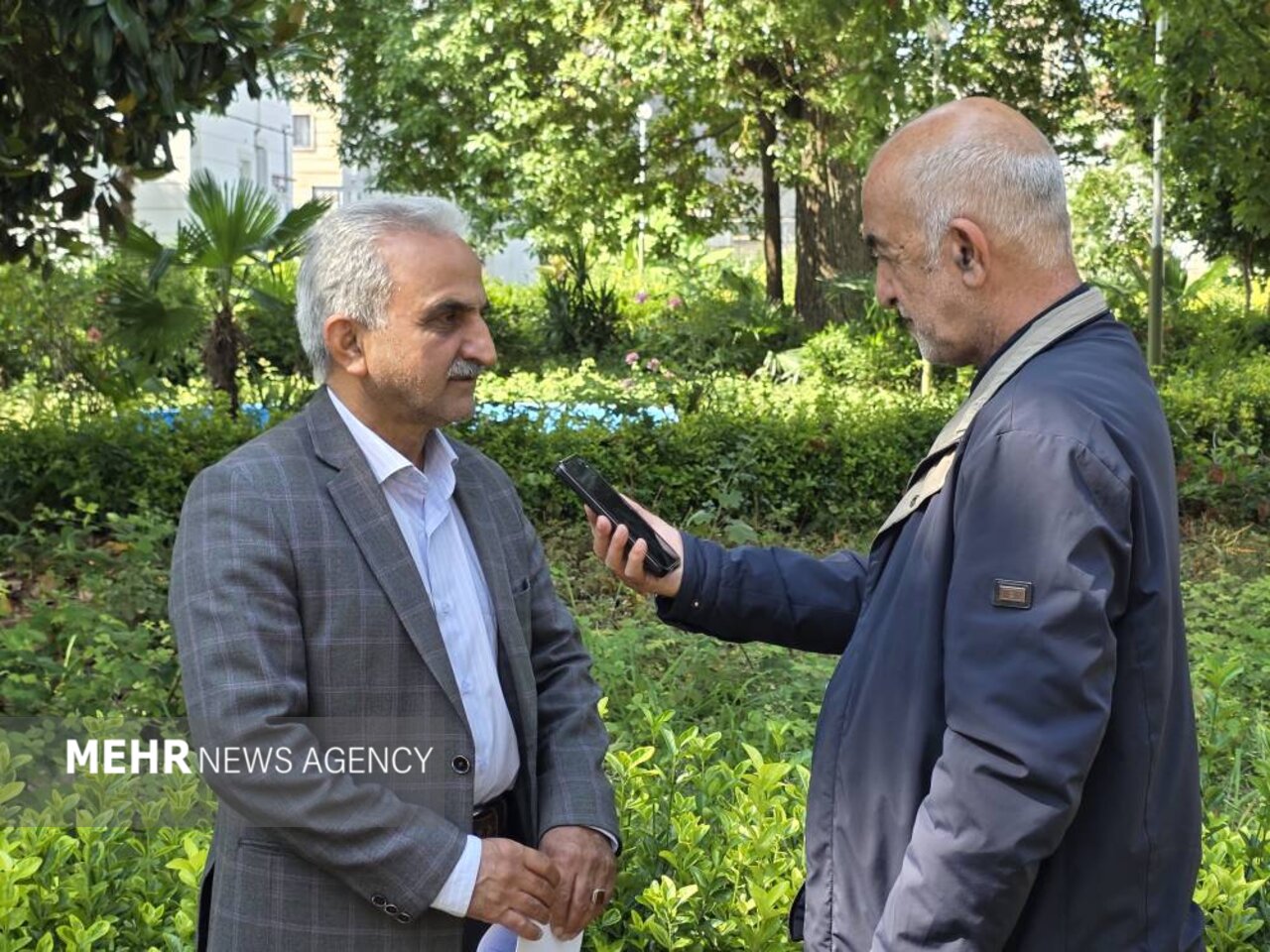 چاي،تومان،اشاره،برگ،سبز،وضعيت،درصد،دولت،كشور