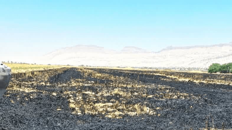 محيط،كشاورزي،اداره،مُهر،اراضي،قضايي،حفاظت،شهرستان،زيست،كلش