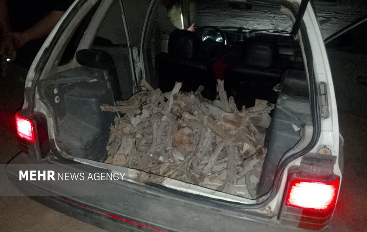 کشف قاچاق چوب در سمنان و سرخه؛ ۲ متخلف دستگیر شدند