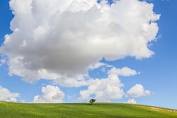 طبیعت زیبای بهاری خراسان شمالی