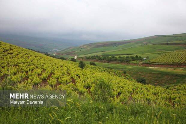 طبیعت زیبای بهاری خراسان شمالی