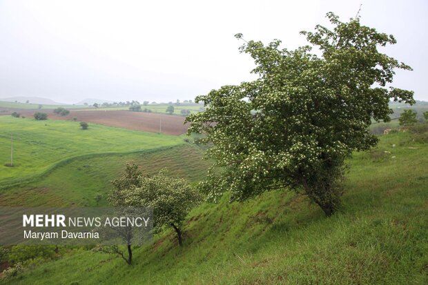 طبیعت زیبای بهاری خراسان شمالی