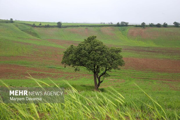 طبیعت زیبای بهاری خراسان شمالی