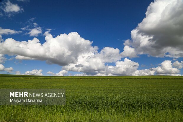 طبیعت زیبای بهاری خراسان شمالی