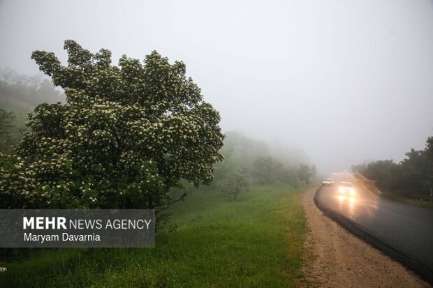 طبیعت زیبای بهاری خراسان شمالی