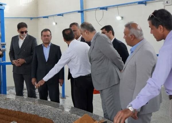 معاون استاندار بوشهر: مرغ مورد نیاز استان تامین شد معاون استاندار بوشهر: مرغ مورد نیاز استان تامین شد