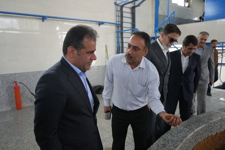 معاون استاندار بوشهر: مرغ مورد نیاز استان تامین شد
