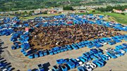 خرید و فروش دام زنده در میدان دوآب شهرستان اهر در آستانه عید قربان
