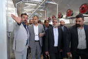 تحول در اقتصاد روستایی باروق؛زنجیره ارزش برای ۲۶هزار تن محصول ایجاد شد