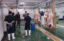 صدور پروانه بهره‌برداری مجتمع کشتارگاهی در سمنان؛ ۴۰ نفر شاغل شدند