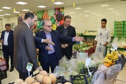 تشدید نظارت بر بازار میوه سمنان؛ حقوق مصرف کنندگان رعایت شود